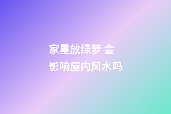 家里放绿萝 会影响屋内风水吗